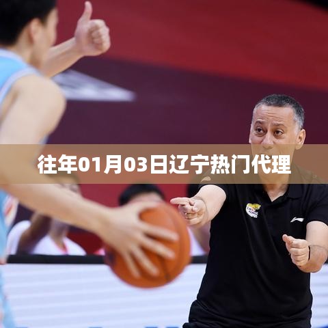 辽宁历年热门代理业务概览