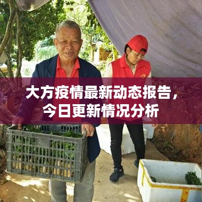 大方疫情最新动态报告，今日更新情况分析