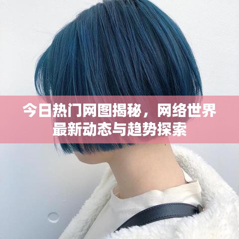 今日热门网图揭秘,网络世界最新动态与趋势探索