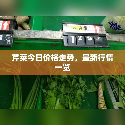 芹菜今日价格走势,最新行情一览