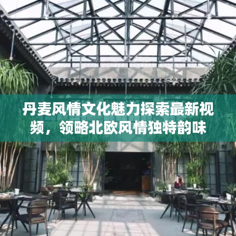 丹麦风情文化魅力探索最新视频，领略北欧风情独特韵味