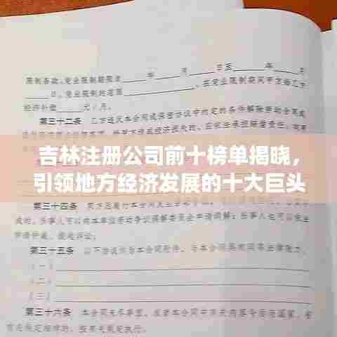 吉林注册公司前十榜单揭晓，引领地方经济发展的十大巨头