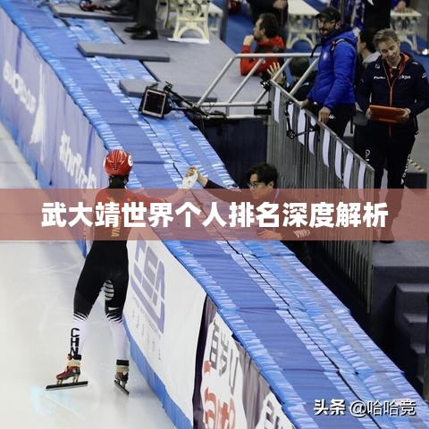 武大靖世界个人排名深度解析
