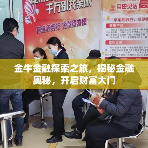 金牛金融探索之旅，揭秘金融奥秘，开启财富大门