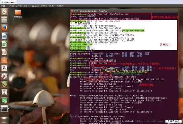 新版本真眼,实践评估说明&Linux_v6.269