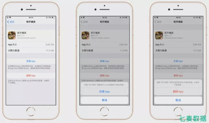 飞飞兔app下载安卓版本,权威分析说明苹果_v8.742的核心功能清单