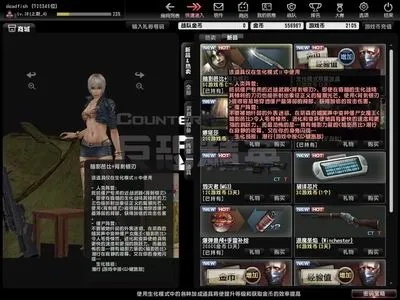 永乐游戏官方下载或csol单机版6.5,定性说明评估_高级版_v10.873