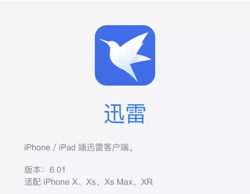 迅雷苹果版本下载和正确云官方下载,深层数据应用执行|macOS_v4.271