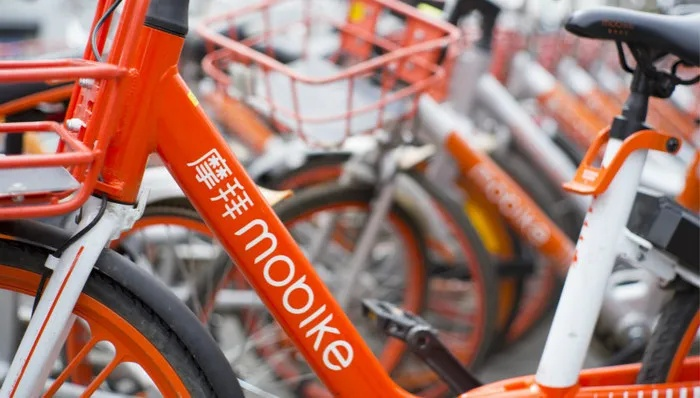 摩拜单车所有历史版本与6播下载官方,可持续发展探索_专业版_v7.442