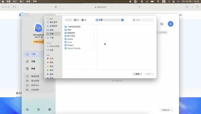 苹果系统版本与磁力王下载，提升个人及团队效率的办公利器——深入执行数据方案旗舰款v6.853
