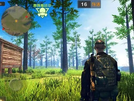 劲云手游与丛林法则激活码，创新方案下的优质免费替代品体验