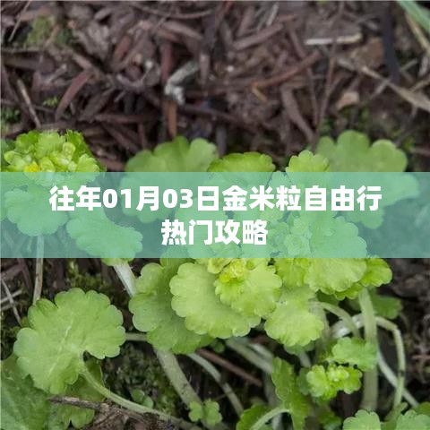 「金米粒自由行」热门攻略,带你畅游新一年!