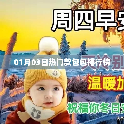 01月03日热门款包包榜单TOP推荐