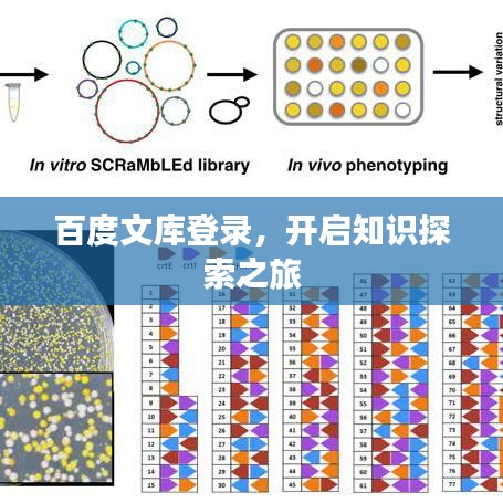 纡尊降贵 第5页