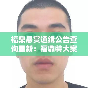 福鼎悬赏通缉公告查询最新:福鼎特大案