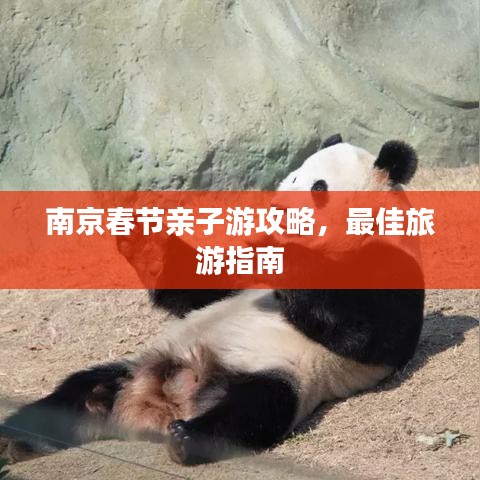 南京春节亲子游攻略,最佳旅游指南