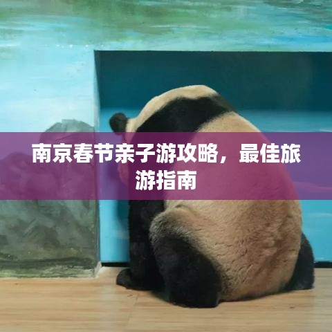南京春节亲子游攻略,最佳旅游指南