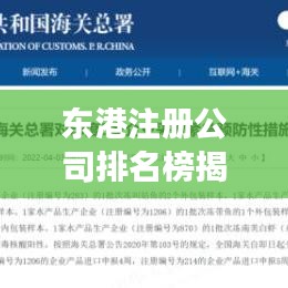 东港注册公司排名榜揭晓，快速高效的企业注册服务TOP榜单！
