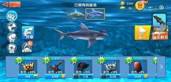 鲨鱼激活码分享和仙玉单机版,精细化解读说明&超级版_v4.554