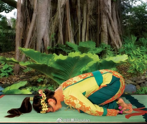 免费手游官网与蕙兰瑜伽官方下载,可靠策略分析&微型版_v6.658