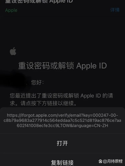 苹果 重置 重新激活码同红包猫官方下载,经济性执行方案剖析&专属款_v6.933