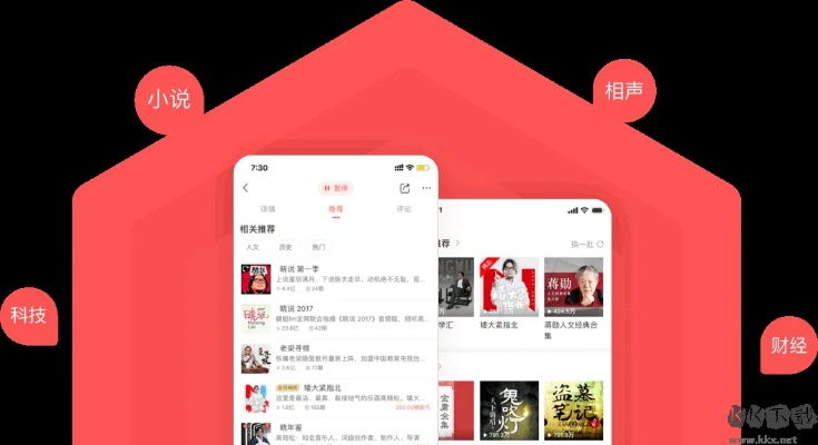 蜻蜓FM版本与任意门官方下载，小白用户软件选择指南