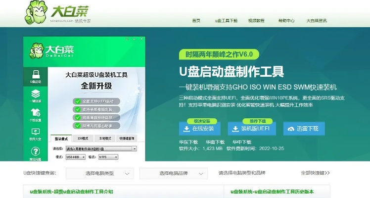 大白菜最新版本及支付官方下载10.0,灵活解析实施 免费版_v5.875